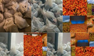 Hardship: MOK Foundation rolls out palliatives for Kwara State residents