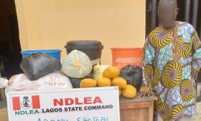 NDLEA arrests 80-year-old grandpa dealing with illicit drugs over 25 years