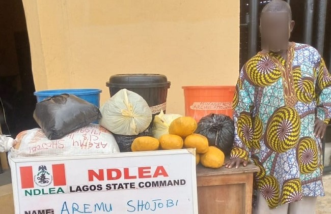 NDLEA arrests 80-year-old grandpa dealing with illicit drugs over 25 years
