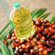 Four things Nigeria can learn from top palm oil countries