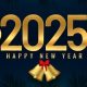 2025: 10 countries that will cross over to New Year before Nigeria