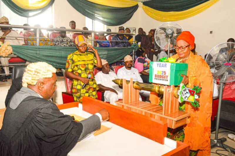 Hon. Funmilayo Akande Muhammed presents year 2025 'Budget of Fulfilment'