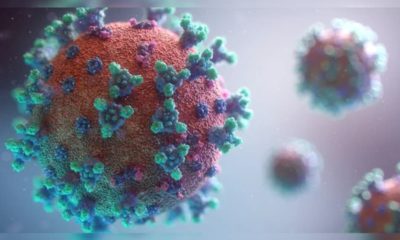 SEE LIST: New COVID-19 variant confirms in 29 countries