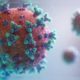 SEE LIST: New COVID-19 variant confirms in 29 countries