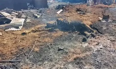 'I saw my mother, father, three brothers burning' - Sokoto airstrike survivor narrates ugly experience of losing entire family