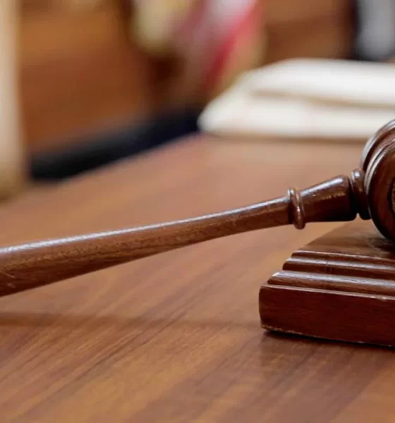 to Expose Tunji-Ojo’s Academic Qualifications