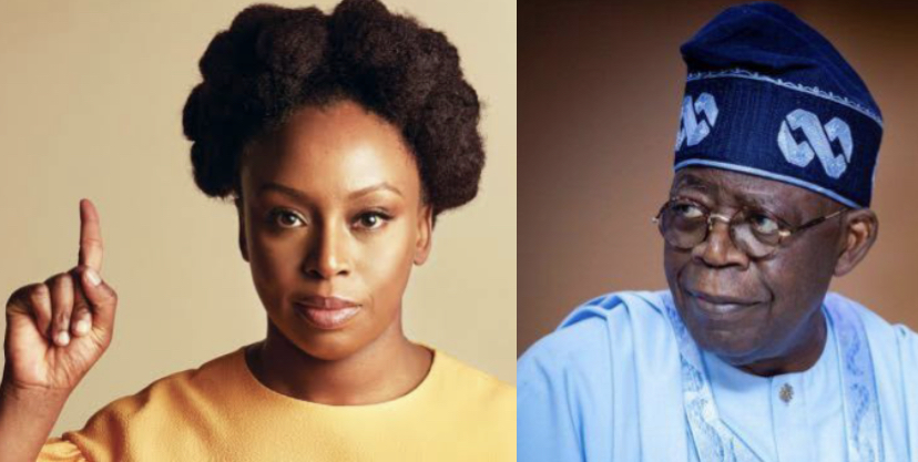 Hardship: Why Nigeria middle are now beggars - Chimamanda