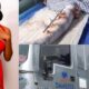 Dangote in trouble as Phyna loses sister after truck accident