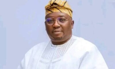 Power Minister Set to Step Down from Tinubu's Cabinet; Major Reason Emerges