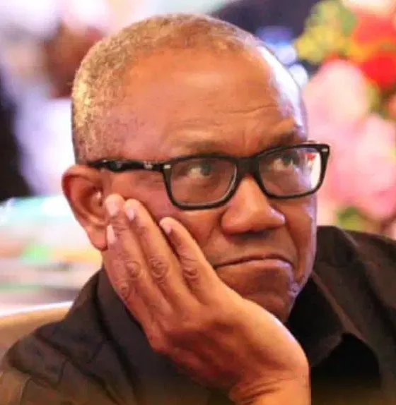 UNCOVERED: Why Peter Obi’s ADC Presidential Ticket Not PO-ssible