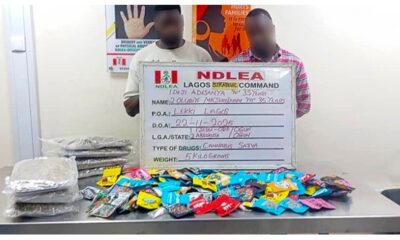 NDLEA Uncovers Drugs Packaged As Christmas Cookies