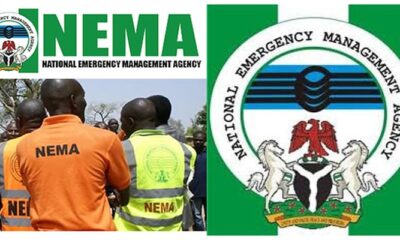 241 Killed, 144,790 Displaced By Flood – NEMA