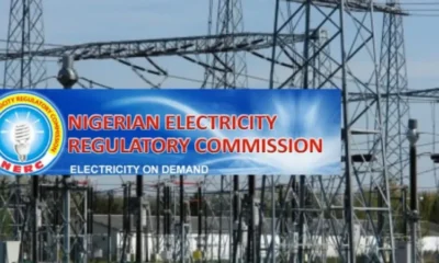 Nigeria’s Electricity Customers Rise To 11.96 million — NERC