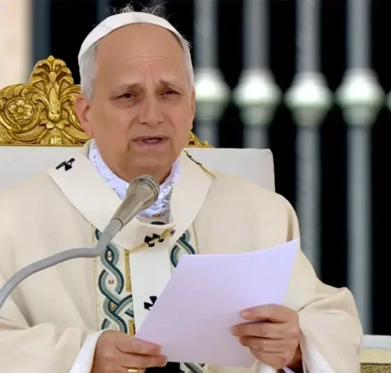 VIDEO: No Genocide in Nigeria, Killings Affect Christians, Muslims - Pope Speaks