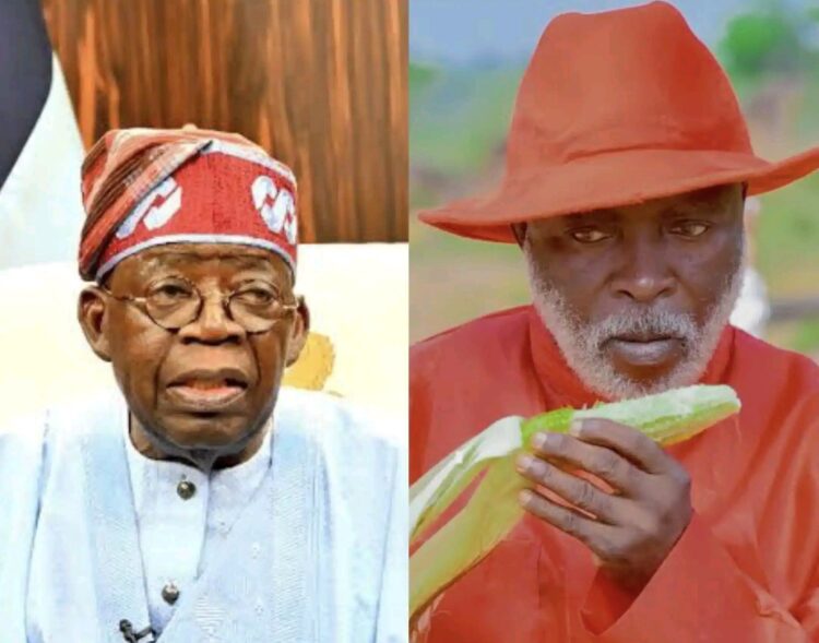 Nollywood Actor Arrested for Alleged Role in Coup Plot Against Tinubu