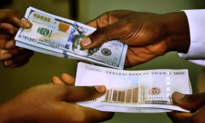 Naira Records Fresh Loss Against Dollar