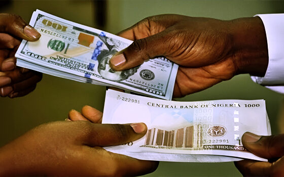 Naira Records Fresh Loss Against Dollar