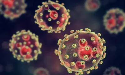 The Lagos State Government has issued a public health alert over the spread of Lassa fever, rolling out a statewide awareness and prevention campaign as infections continue to rise across Nigeria.