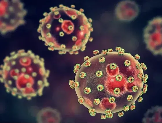 The Lagos State Government has issued a public health alert over the spread of Lassa fever, rolling out a statewide awareness and prevention campaign as infections continue to rise across Nigeria.