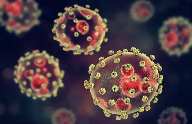 The Lagos State Government has issued a public health alert over the spread of Lassa fever, rolling out a statewide awareness and prevention campaign as infections continue to rise across Nigeria.