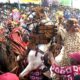 Adesoye Dynasty Shuts Down Ojude Oba 2026 with Spectacular Display, Ibrahim Chatta, Ogogo Steal Spotlight